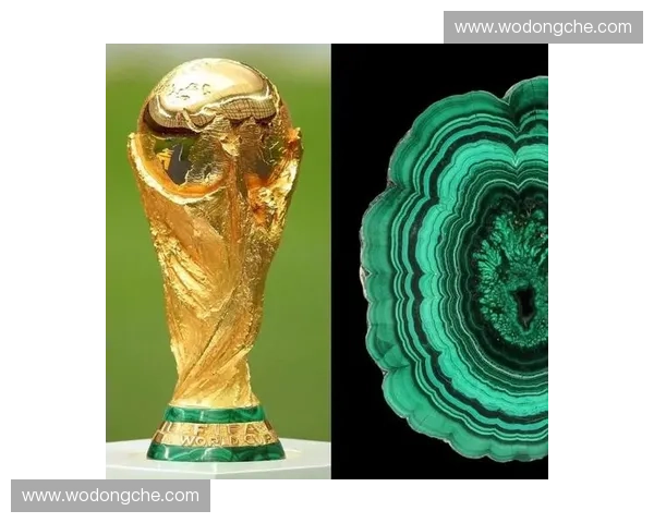 从历史角度解析世界杯冠军背后的传奇与荣耀故事